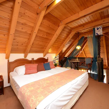 Otel Janus Boutique & 4*