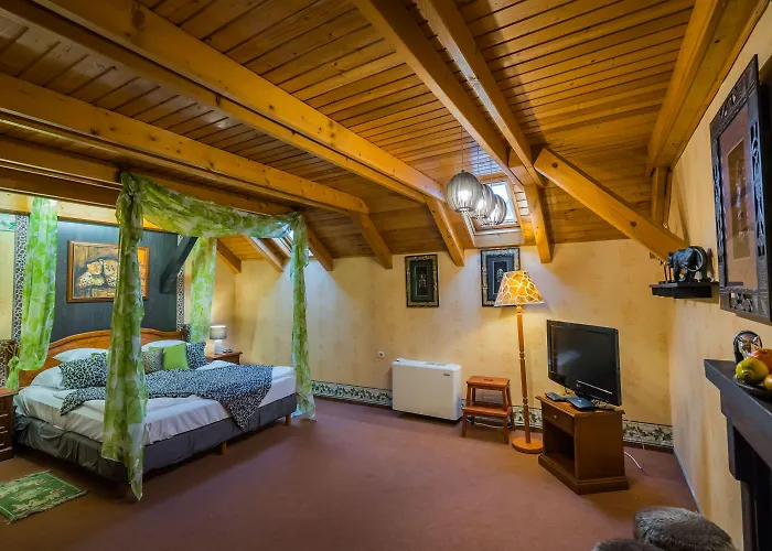 Hotel Janus Boutique & 4*